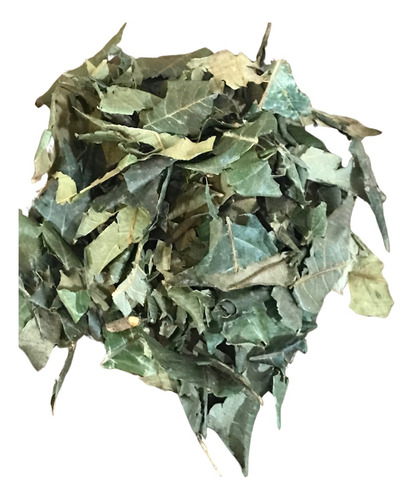 Folha De Ameixa 100gr (prunus Domestica)