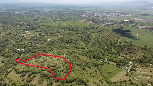 Se Vende Finca De 10 Plazas Ubicada En Zarzal, Valle (6,4 Hectáreas) Con Excelentes Pastos Y Lago Grande. Negociables