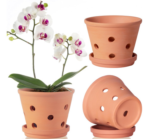 Paquete De 3 Macetas De Orquídea Terracota De 15 Cm Con Aguj