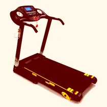 Comprar Caminadores Eléctricos Profesionales, Service 