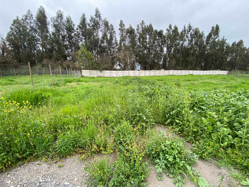 Imagen 10 de 19 de Bajó De Precio! Sitio En Parcelación De Isla De Maipo