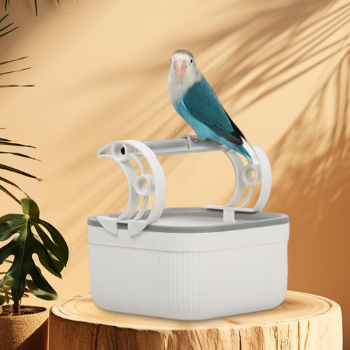 Soporte De Pájaros De Mesa Removible Loro Para Periquitos
