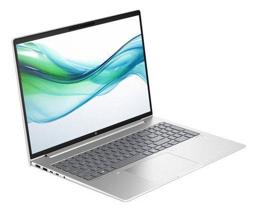 Laptop Hp Probook 465 G11 Amd Ryzen 5 16gb Ram 256gb W11 Pro Color Plateado