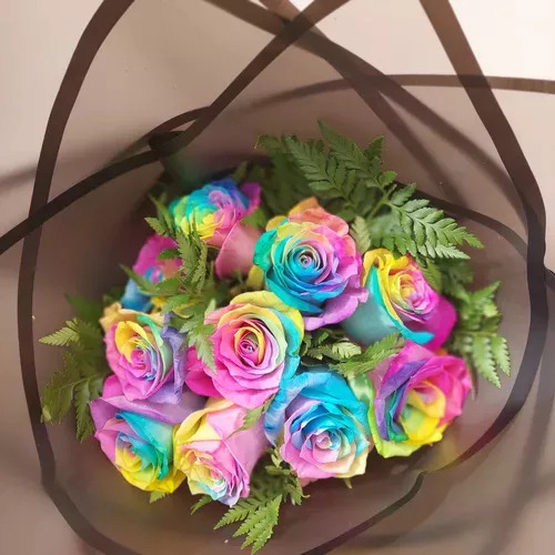 Rosal Arcoíris Único + Regalo