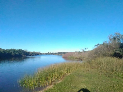 Imagen 10 de 14 de Campo En Gualeguaychú 23,5 Ha Con Playa Natural