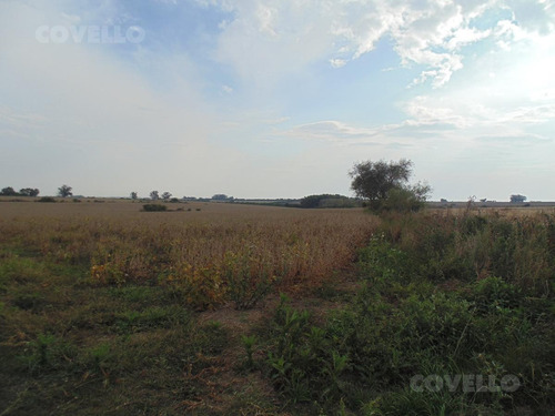 Imagen 11 de 11 de Campo En Martin Chico, Buena Tierra Productiva, Zona En Desarrollo