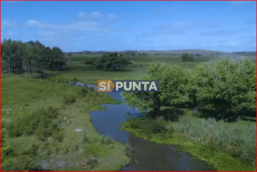 Imagen 2 de 7 de Chacra En Venta