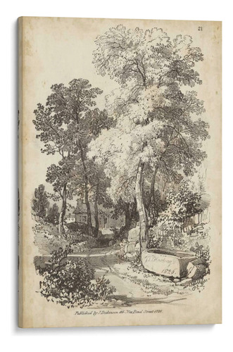 Canvas Lab Cuadro Árbol Noble I 70x105, J.d. Harding
