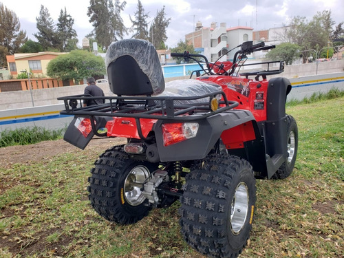 Imagen 5 de 17 de Cuatrimoto Hammer 250cc Semiautomatic Cardan 0 Klm 2022