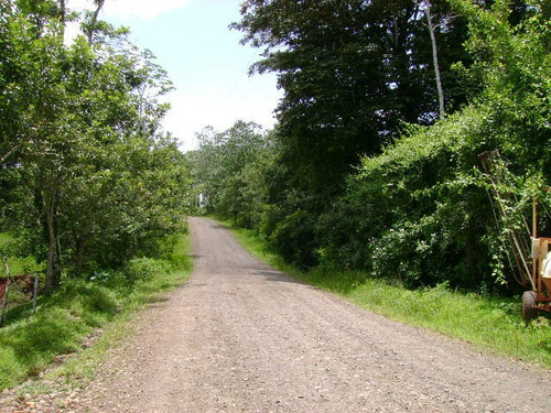 Imagen 1 de 14 de Venta De Hermosa Finca