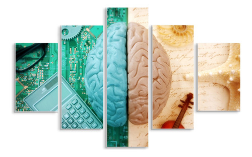 Set De 5 Cuadros Canvas Cerebro Multifuncional 114x185cm