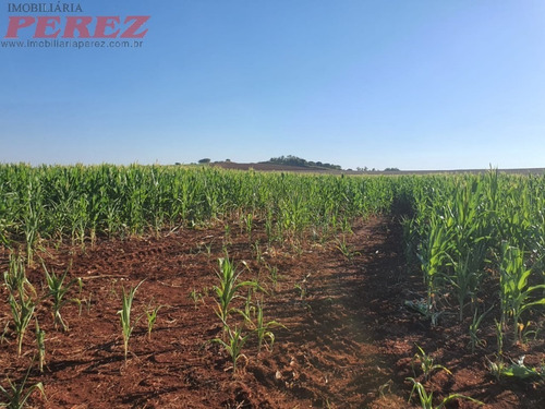 Imagem 8 de 24 de Chácaras_sítios_fazendas Para Venda - 13650.8047