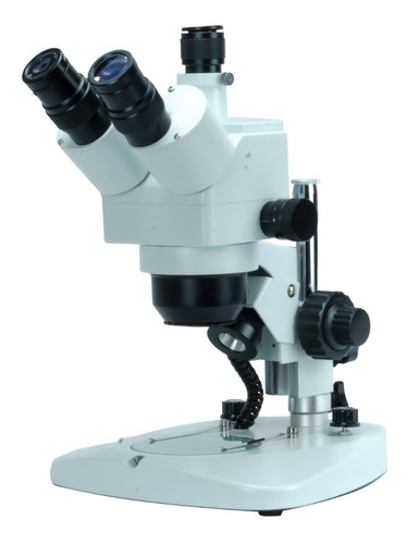 Zeigen Microscopio Trinocular Estéreo Zoom 10 A 40 Aumentos