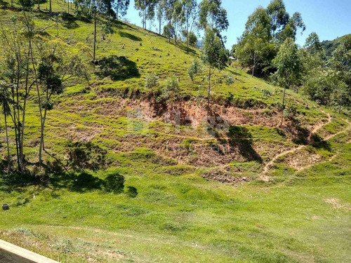Imagem 6 de 16 de Terreno À Venda No Bairro Salto Águas Negras - Botuverá/sc - 2200t