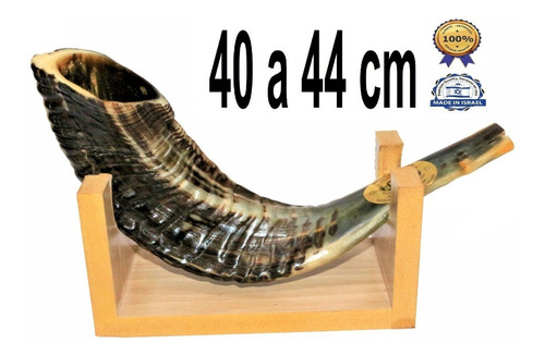 Imagem 1 de 6 de Shofar Chifre De Carneiro De Tocar - De Israel 40-44 Cm