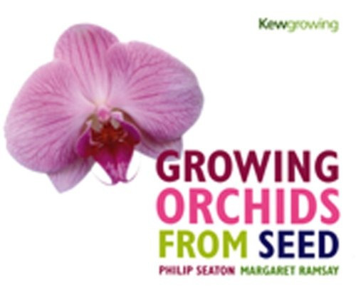 Growing Orchids From Seed