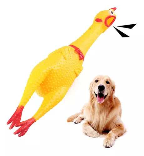 TOYANDONA Gritando Cão Pato Brinquedo Galinhas De Borracha Que Guincham  Frango De Borracha Estridente Brinquedos De Para Galinheiro Filho Mordida  De