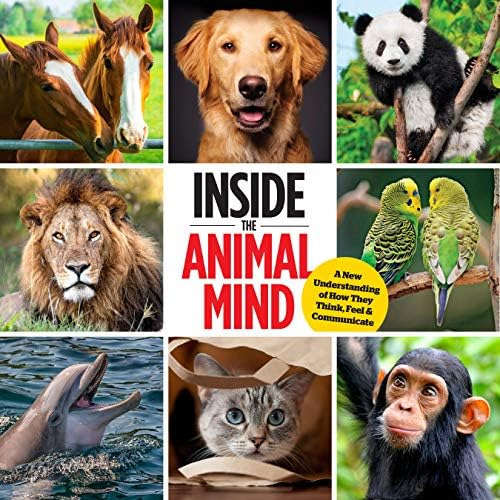 Inside The Animal Mind: A New Understanding Of How They Think, Feel & Communicate, De Weintraub, Pamela. Editorial Centennial Books, Tapa Dura En Inglés