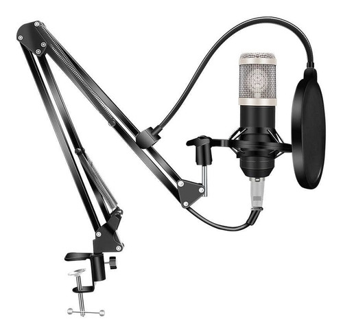 Imagen 5 de 7 de Microfono Canon Con Brazo Estudio Condensador Live Broadcast