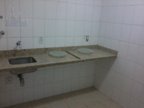 Imagem 16 de 30 de Comercial Para Venda, 0 Dormitórios, Vila Brasilina - São Paulo - 9393