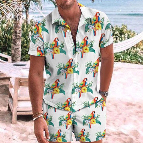 Blusa De Playa Hawaiana Para Hombre, Conjunto De Ropa De Pla