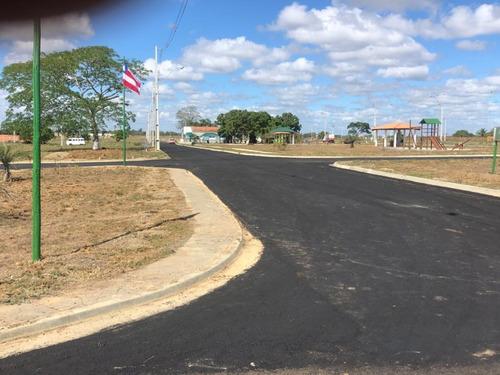Imagem 30 de 30 de Terreno - Ak01729a6 - 67869757