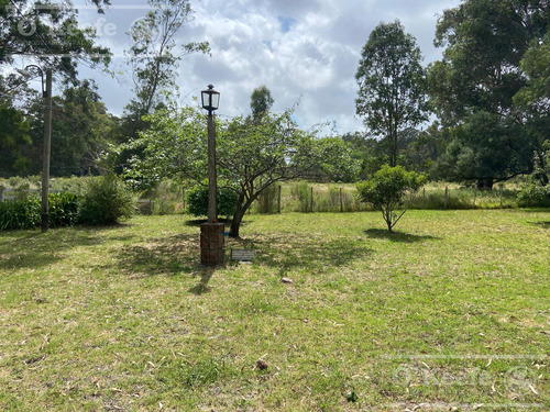 5 Has En Veronica - Chacra En Venta Con Importante Arboleda