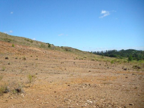 Campo En Venta En Lavalleja, 11 Hectáreas