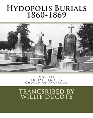 Libro Hydopolis Burials 1860-1869: Vol. Iii Of The Burial...