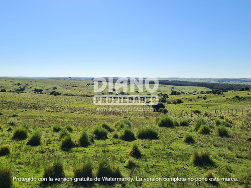 Imagen 4 de 14 de Prioridad Forestal - Buen Campo Ganadero