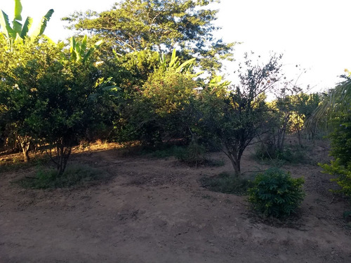 Imagem 8 de 14 de Chácara 3 Hectares , Casa, Agua Luz Beira Rio S Fraco