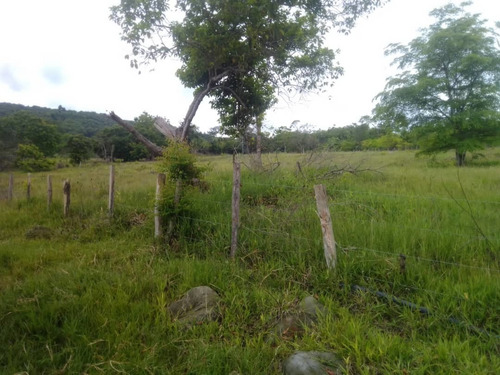 Imagen 16 de 23 de Cf. Se Vende Finca En La Fría, Cerca De La Termoeléctrica