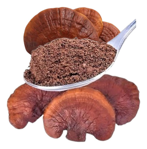 Ganoderma Lucidum (reishi) En Polvo 1 Kg - Original