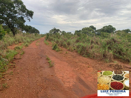 Imagem 13 de 15 de Fazenda À Venda Em Monte Santo - To - De 83 Alqueirões (dupla Aptidão) - 1623
