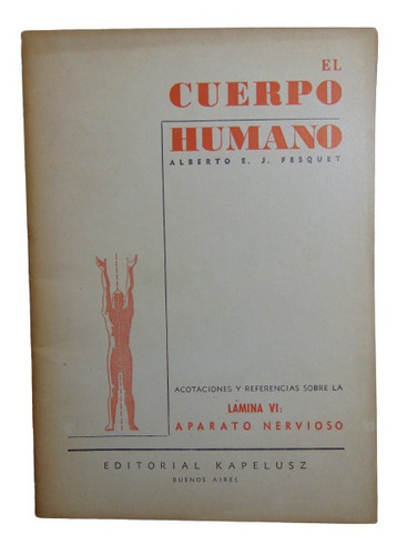 Adp El Cuerpo Humano Lamina Vi Aparato Nervioso A. Fesquet