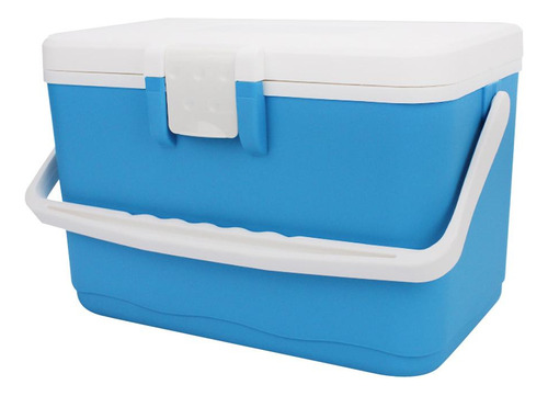 Refrigerador Aislado De Comida Coolbox Portátil 8l Para