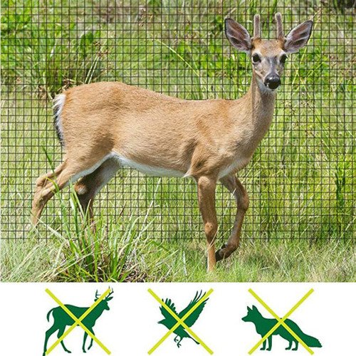 Red De Pájaros Verdes Para Proteger Las Plantas Árboles Frut