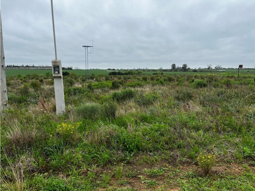 Vendo Lote De 1 Hectárea En San Justo, Entre Ríos.