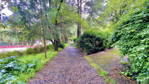 Terreno En Venta Fraccionamiento Rancho San Francisco