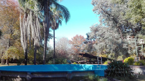 Gran Terreno De 3750 M2 - Villa Rosa