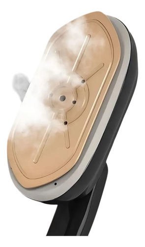 Mini Plancha A Vapor De Viaje 160ml 2en1 1000w Raf R.1142g