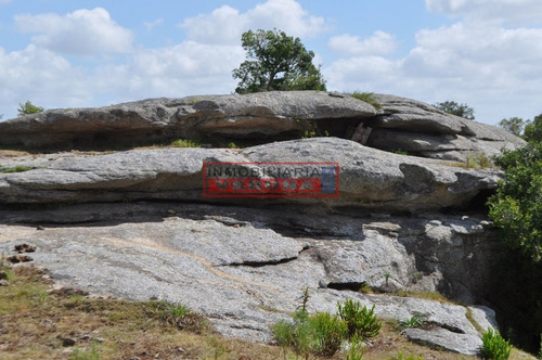 Imagen 5 de 30 de Venta Campo Ubicado En Garzón