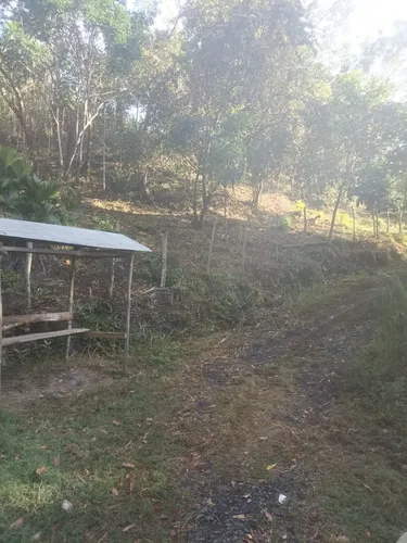 Lote Villeta