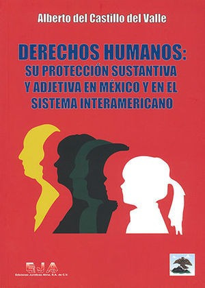 Libro Derechos Humanos: Su Protección Sustantiva Y  Original