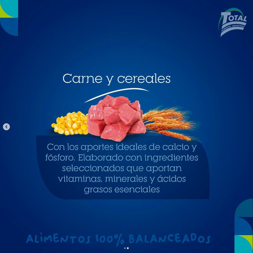 Guardián Alimento Perro Adulto X15kg Envío Gratis!