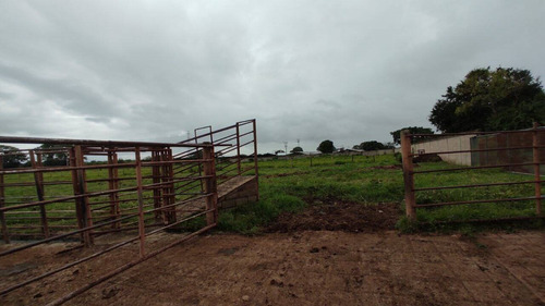 Imagen 2 de 14 de Venta Finca, Guigue Planta Cod. 155496