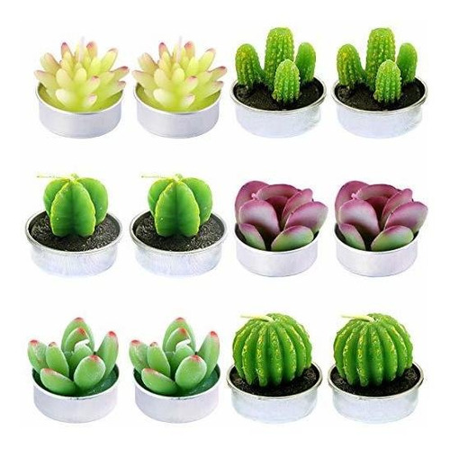 Swpeet - Kit De 12 Velas Decorativas De Cactus Suculentas, L