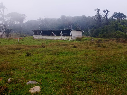 Finca En Venta Aldea La Montaña-lobatera/im