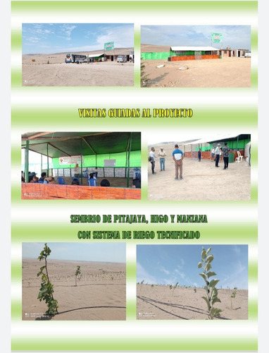 Imagen 13 de 24 de Buscando Terreno Para Casa Campo. Casa Huerta Fuera Del Bullicio De Lima Con Un Buen Clima Cálido Esto Es Para Ti