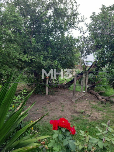 Imagem 7 de 12 de Chácara À Venda Em Chácara Recreio Cruzeiro Do Sul - Ch006687